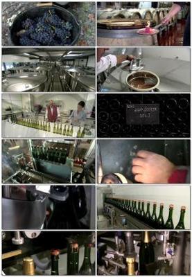 酒窖 酒窖AE模板下載