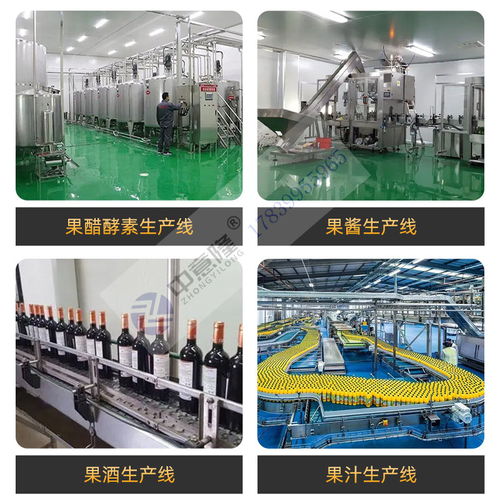 350玻璃瓶石榴酒果酒釀酒設備 年產(chǎn)50噸小型紅酒生產(chǎn)線廠家